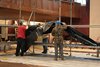 20110207_BBF2011_109